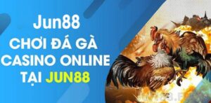 Jun88 – Nhà cái đá gà online uy tín kèm ưu đãi khủng