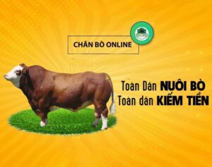 Những app kiếm tiền lừa đảo nuôi bò - trang trại