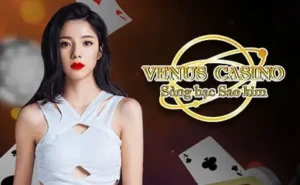 Venus Casino – Tập đoàn cá cược đá gà online uy tín tại Campuchia