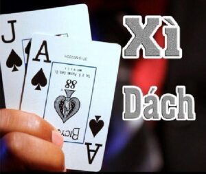 Xi dach